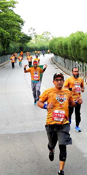 Tiger Run Brochure Cover